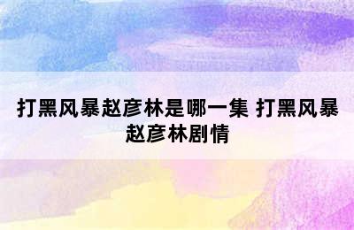 打黑风暴赵彦林是哪一集 打黑风暴赵彦林剧情